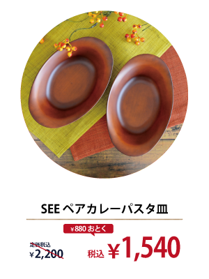 SEE ペアカレーパスタ皿