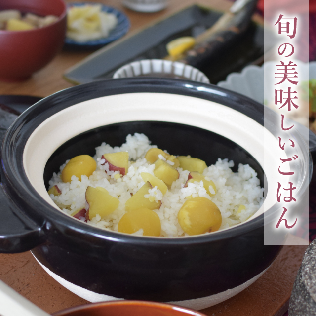 ご友人へのご結婚祝いにはレビジュシリーズが