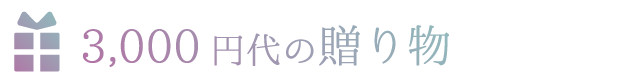 三千円代の贈り物