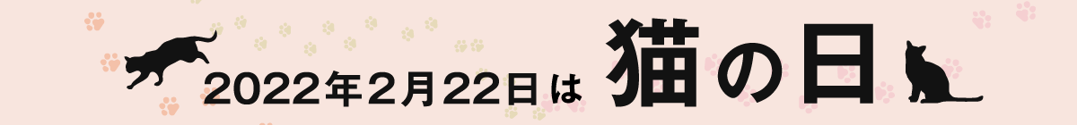 2022年2月22日は猫の日