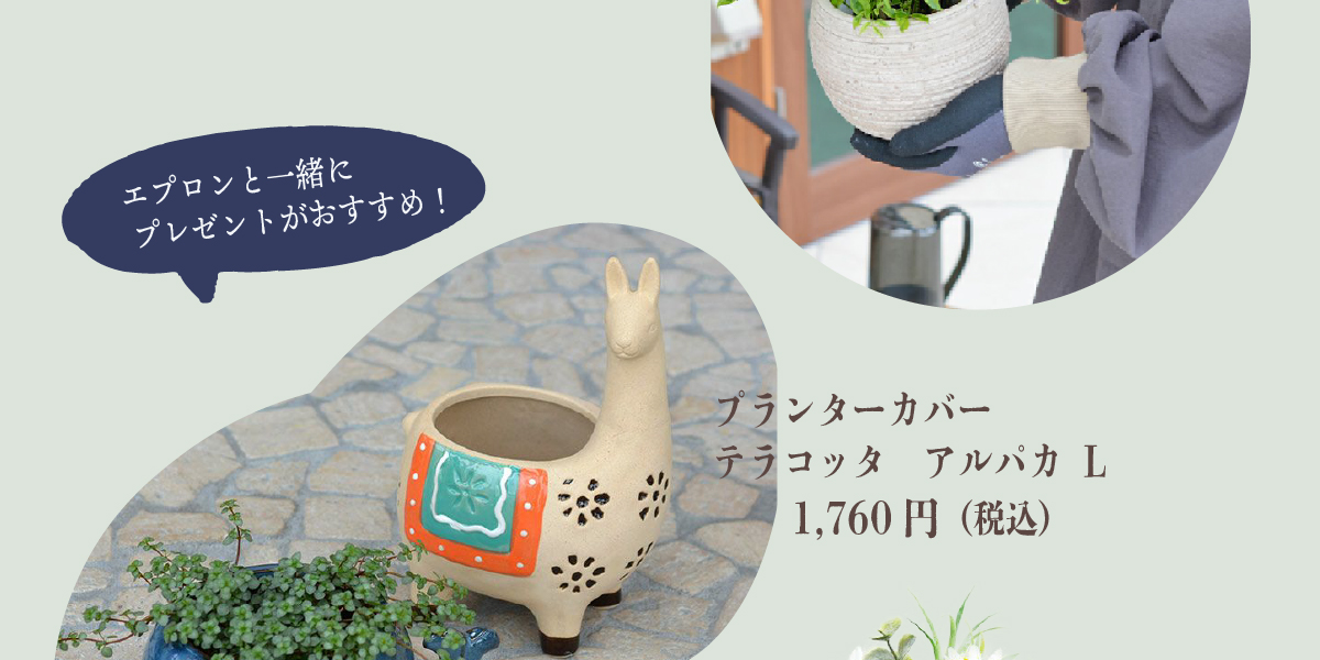 母の日に贈りたいおすすめギフト