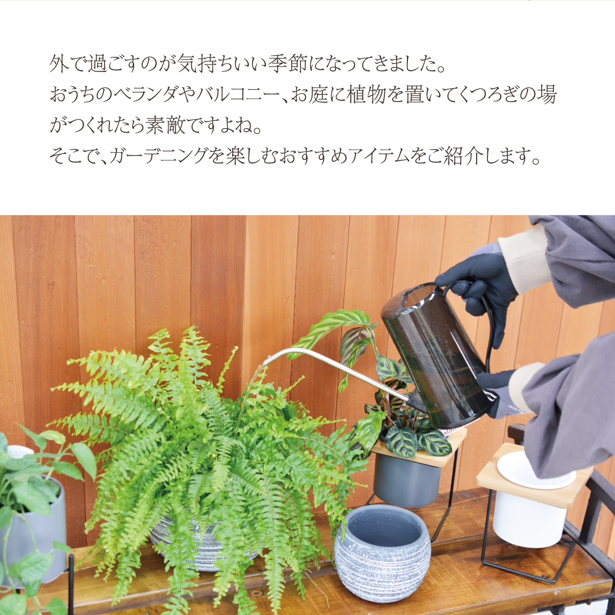 秋はガーデニングを楽しみたい♪