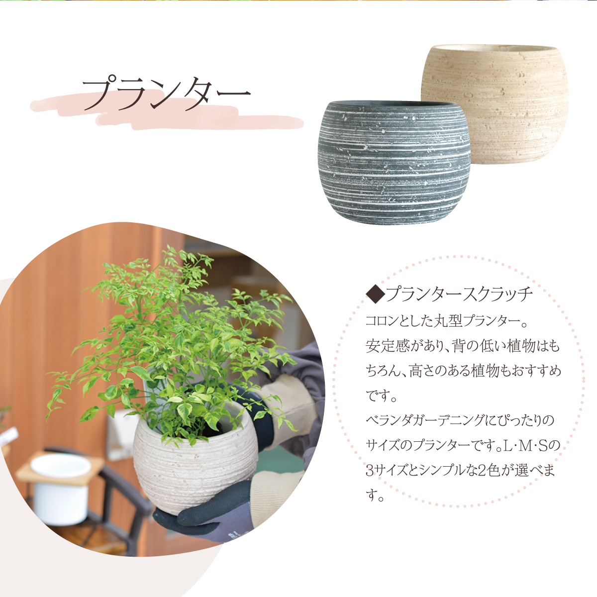 秋はガーデニングを楽しみたい♪