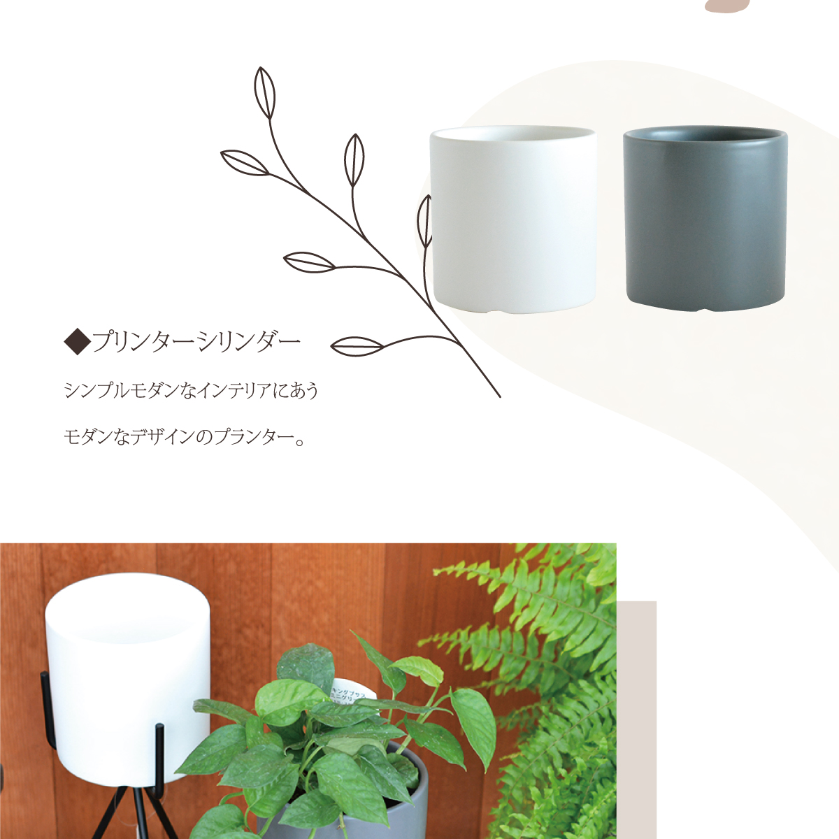 秋はガーデニングを楽しみたい♪