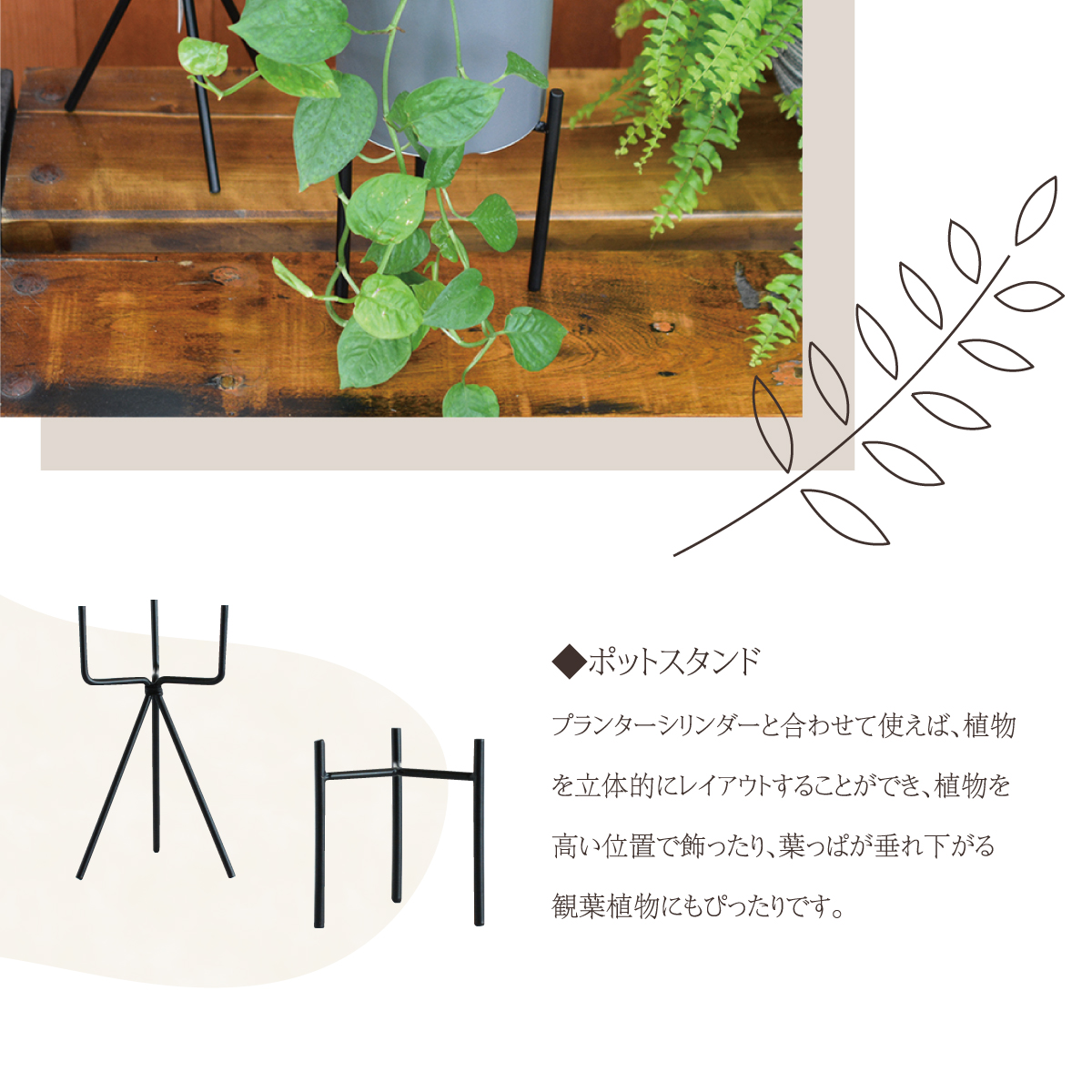 秋はガーデニングを楽しみたい♪