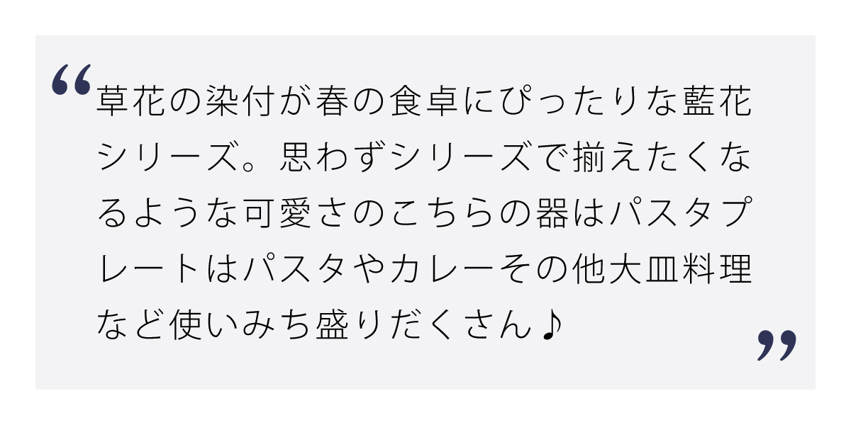 日常に寄り添うモダンな染付藍花 パスタプレート ボタニカルリーフ