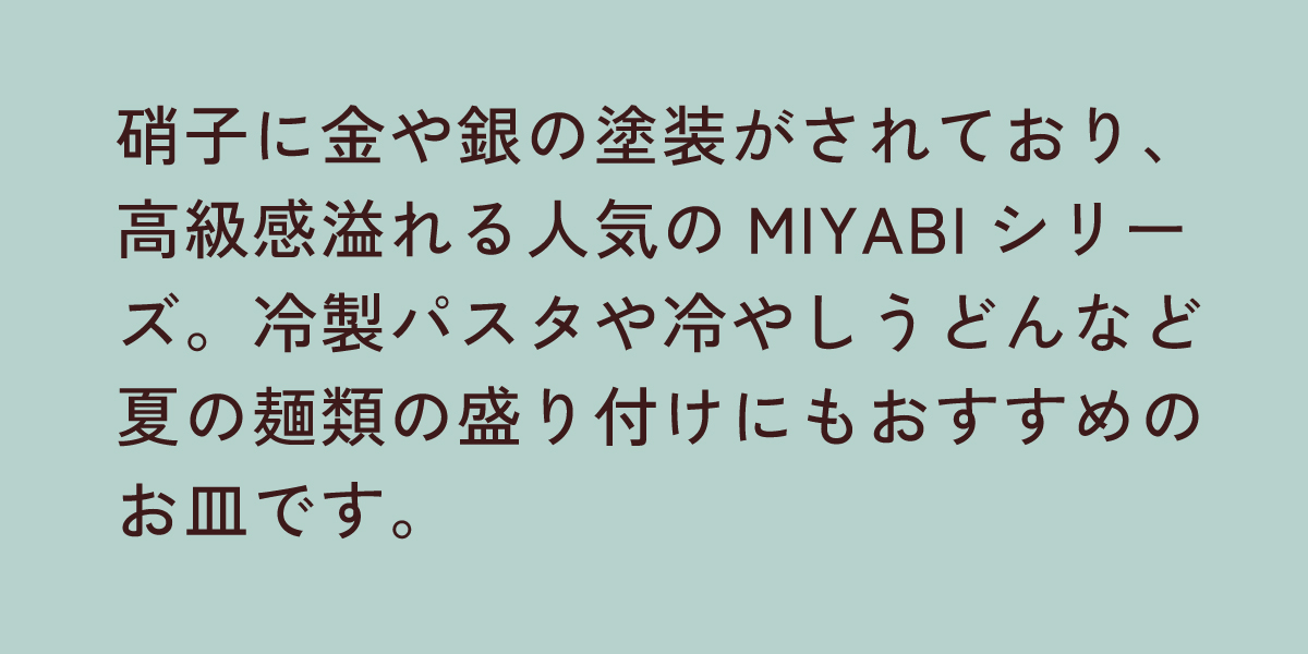 MIYABIプレート L シルバー