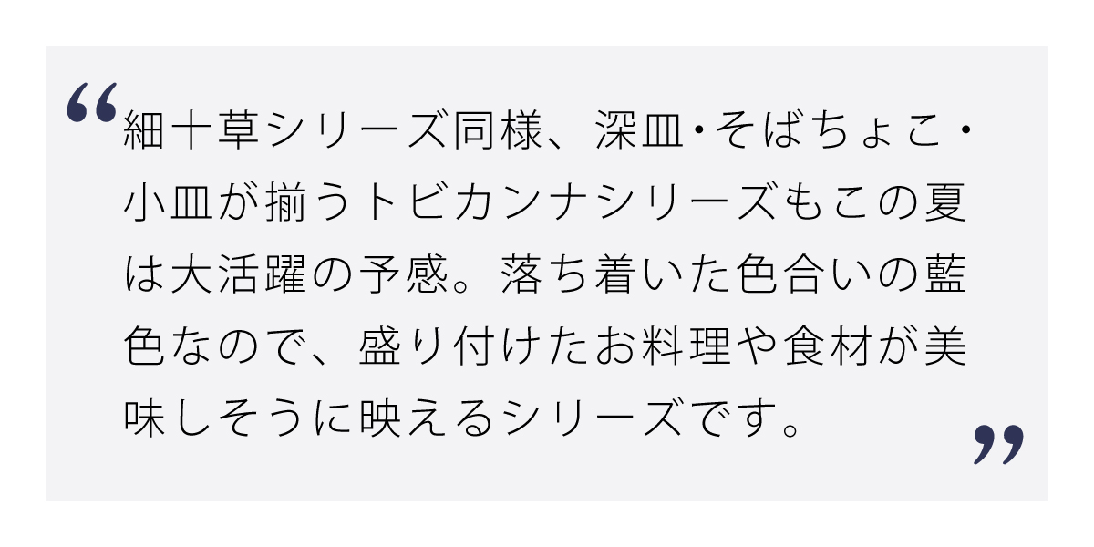 トビカンナ藍色六兵深皿