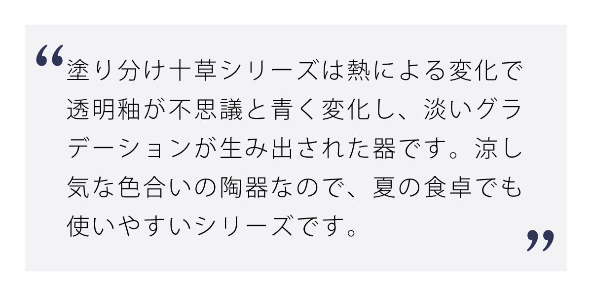 塗り分け十草珈琲碗皿