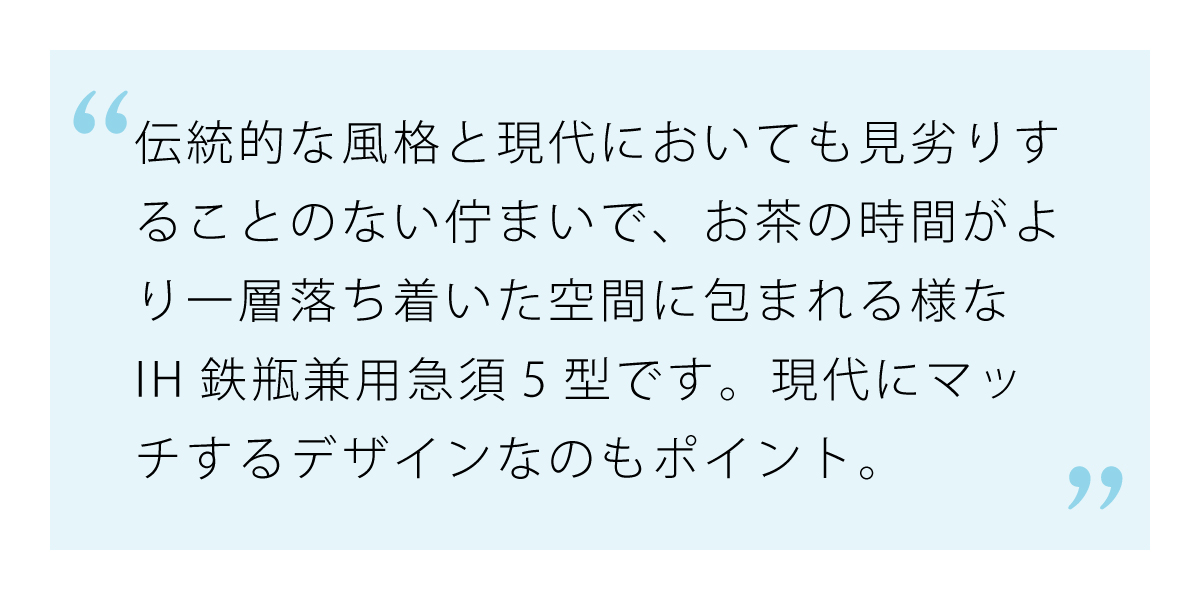 現代にもマッチするデザインのIH鉄瓶兼用急須5型