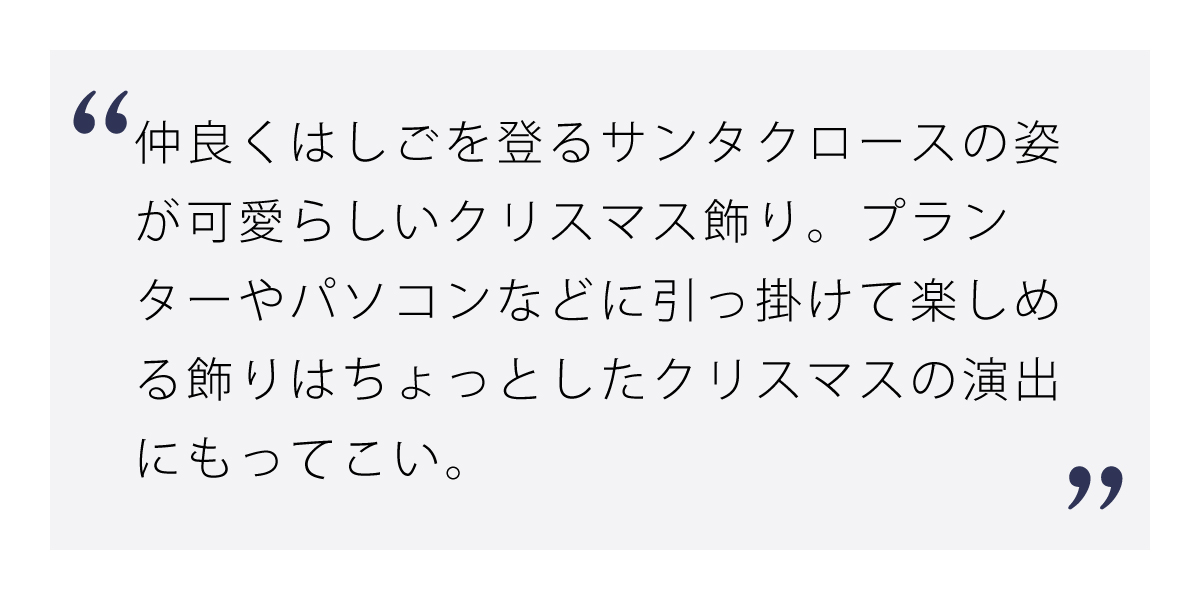 カヴェリクリスマス はしごサンタ 2人