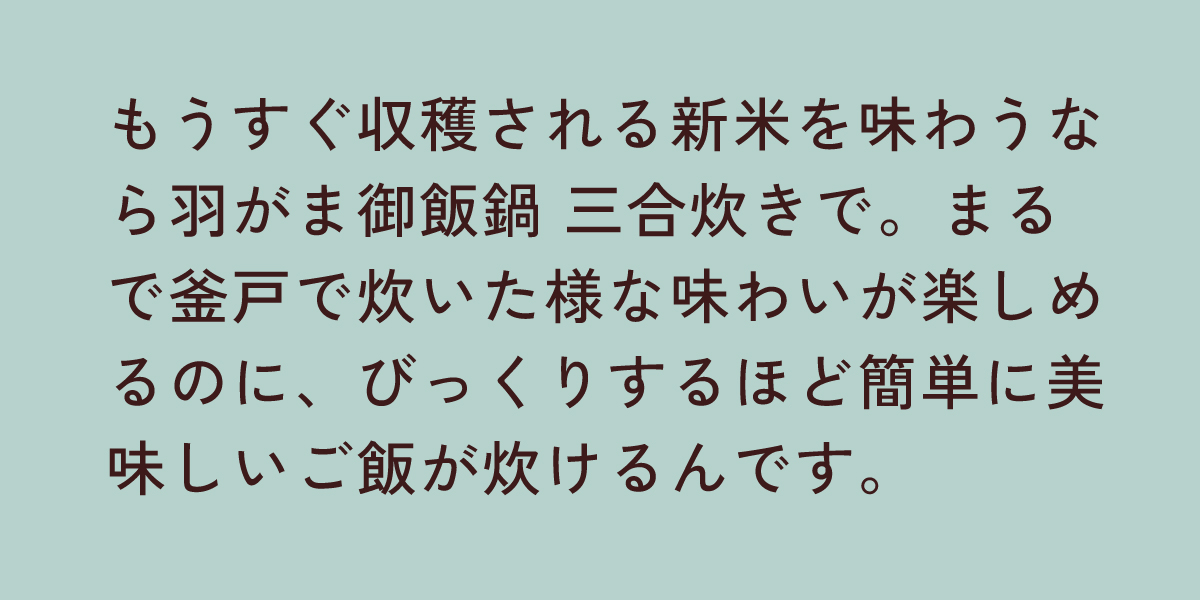 羽がま御飯鍋 三合炊き 黒