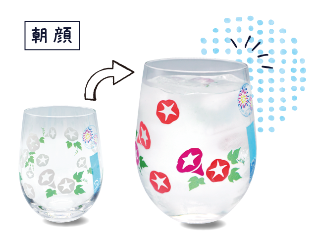 朝顔フリーグラス