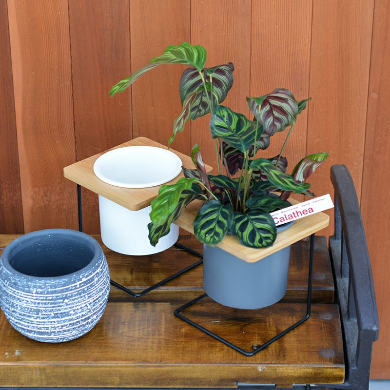 プランター スタンド付き ホワイト｜和食器通販｜織部 Online Store