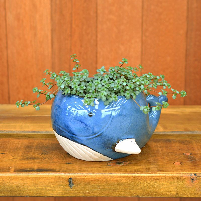 プランターカバー クジラ L｜和食器通販｜織部 Online Store【公式】