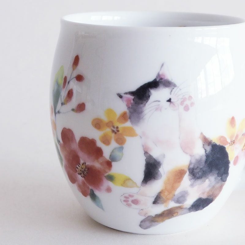 おだやかな表情の猫とポーチュラカに癒されます