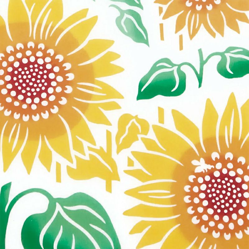 遠くには気持ちのいい青空と入道雲