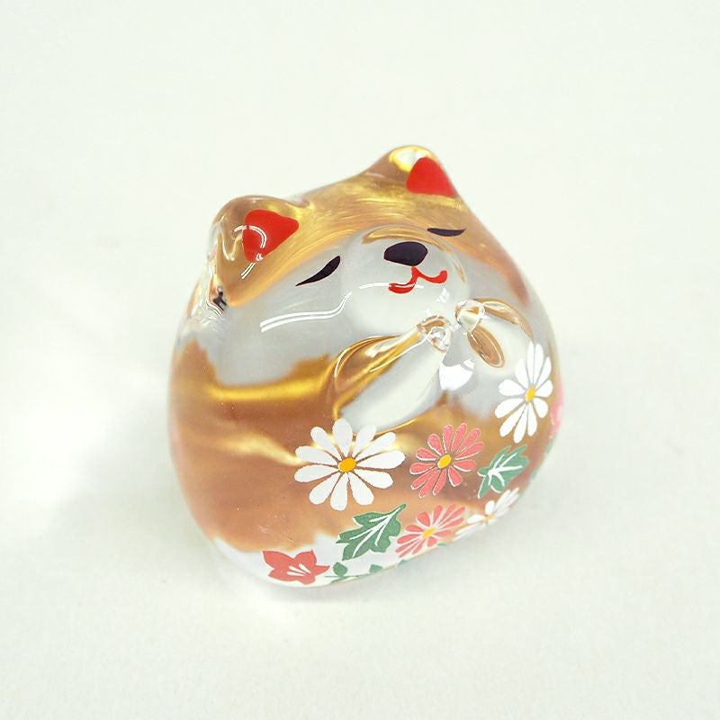 花柄模様に包まれたやさしい表情のワンちゃん