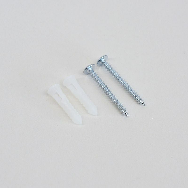 付属の取り付けねじとアンカーです