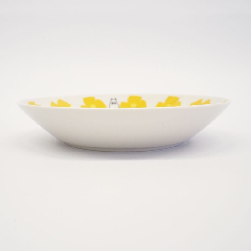 パスタやカレーにぴったりのプレートです