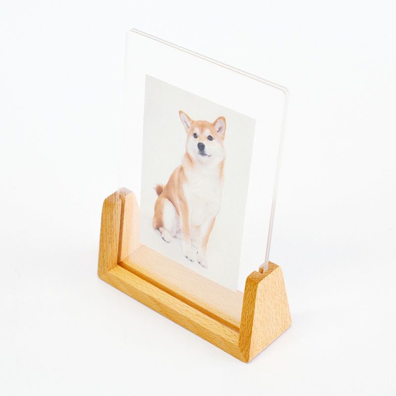 アイデア次第で様々なディスプレイが楽しめます