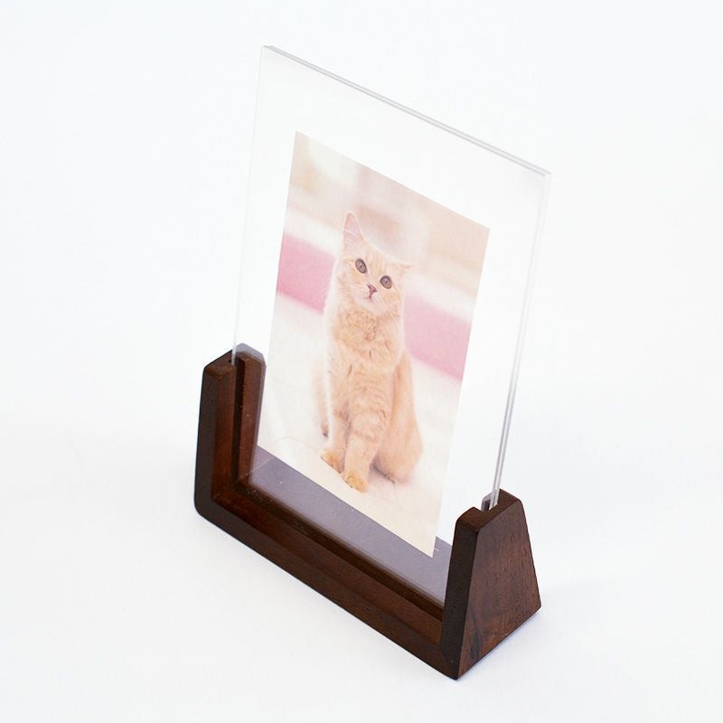 アイデア次第で様々なディスプレイが楽しめます