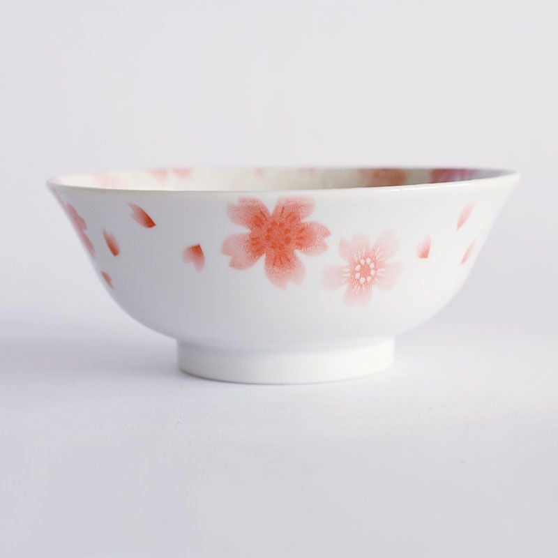 透き通るような白磁に繊細な桜の絵柄が描かれています