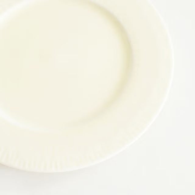 サージプレートＳ 5枚セット