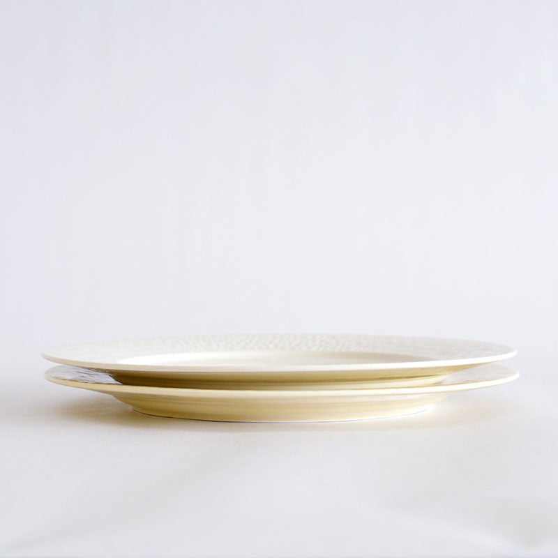 サージプレートＬペア