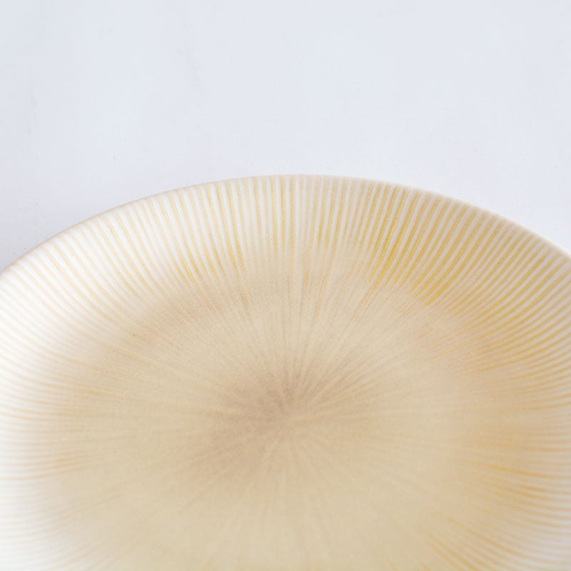 ニューライフプレートＬ２枚セット ホワイト