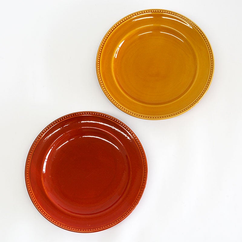 ニューライフプレートＬ２枚セット ラインドット