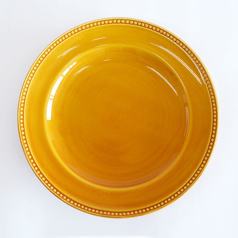 ニューライフプレートＬ２枚セット ラインドット