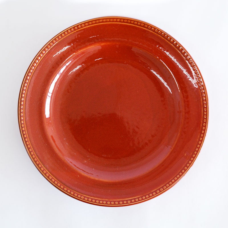 ニューライフプレートＬ２枚セット ラインドット