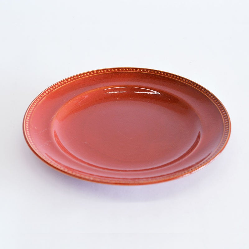 ニューライフプレートＬ２枚セット ラインドット