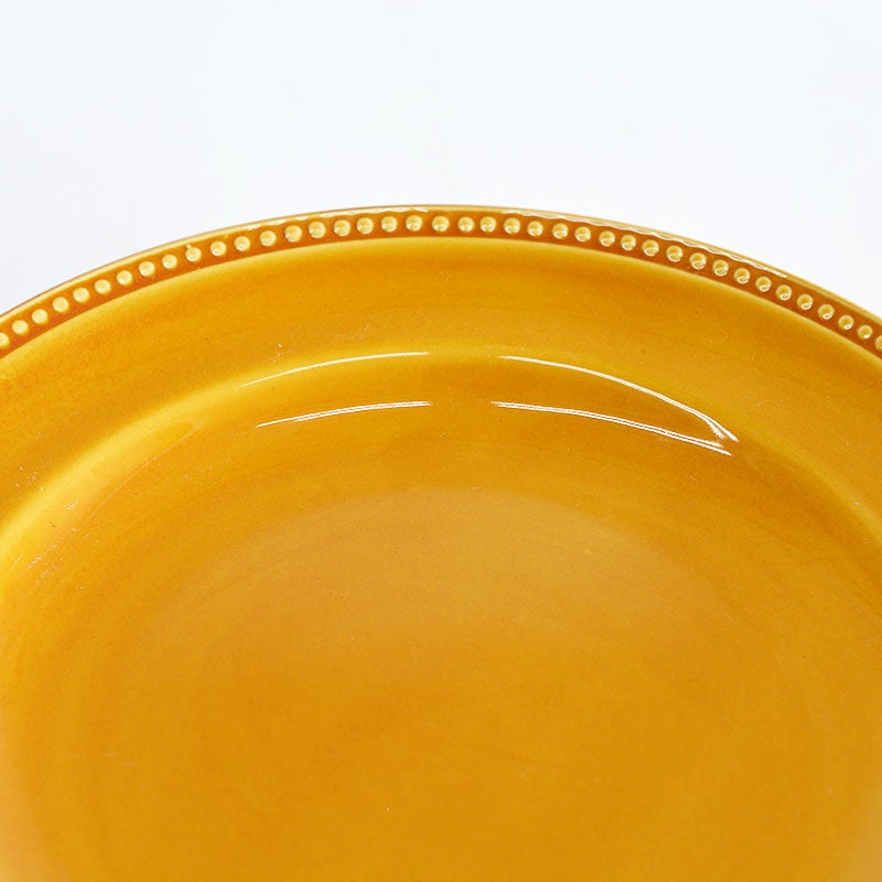 ニューライフプレートＬ２枚セット ラインドット