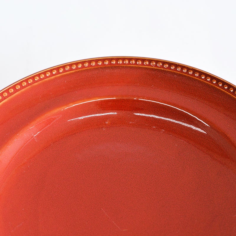 ニューライフプレートＬ２枚セット ラインドット