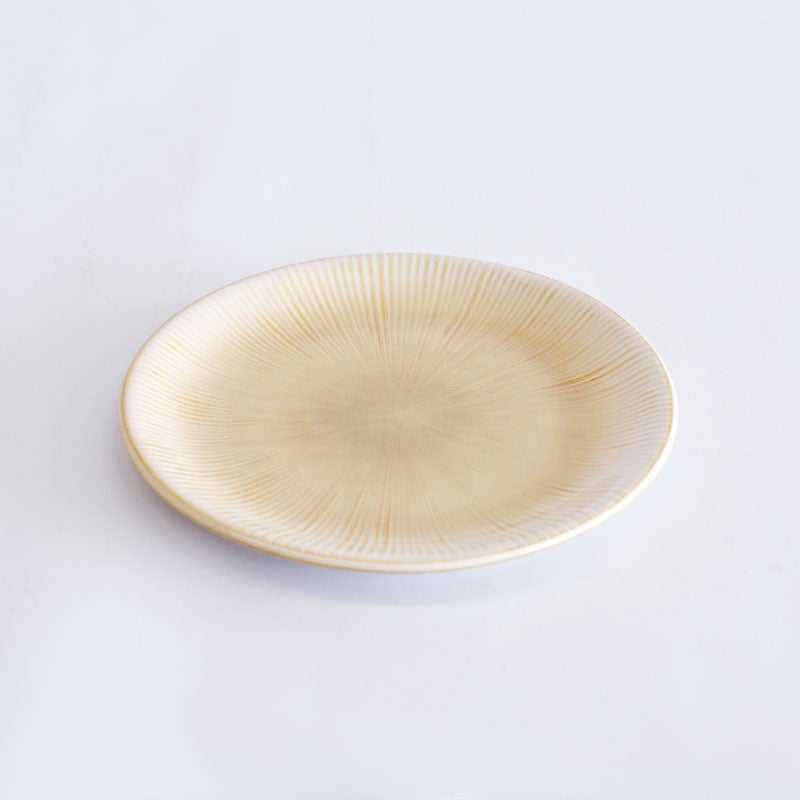 ニューライフプレートＳ３枚セット