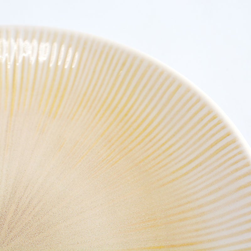 ニューライフプレートＳ３枚セット