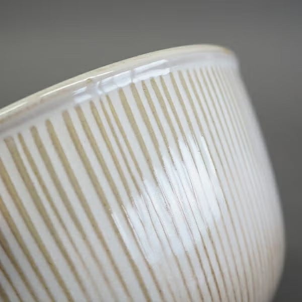  ニューライフボウル３枚セット