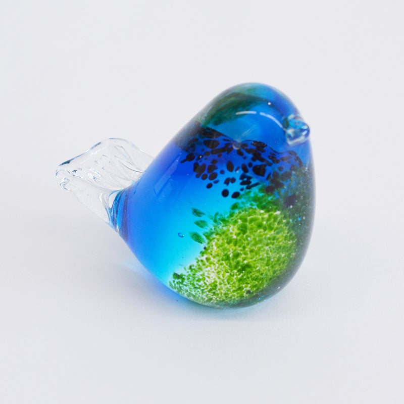 目を引く鮮やかなブルー＆グリーンの色彩