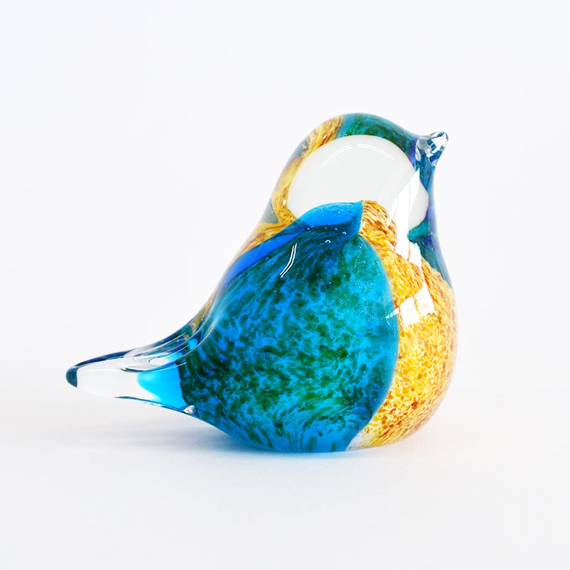 目を引く鮮やかなブルー＆グリーンの色彩