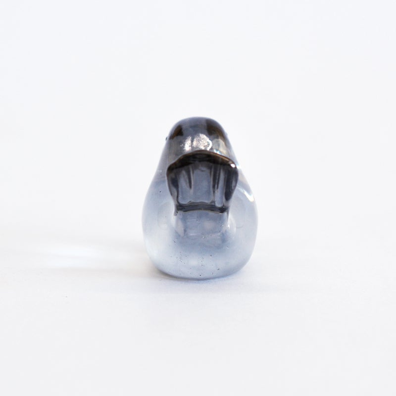 後ろから見た姿です