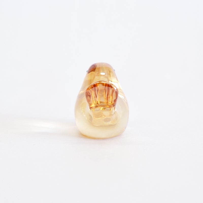 後ろから見た姿です