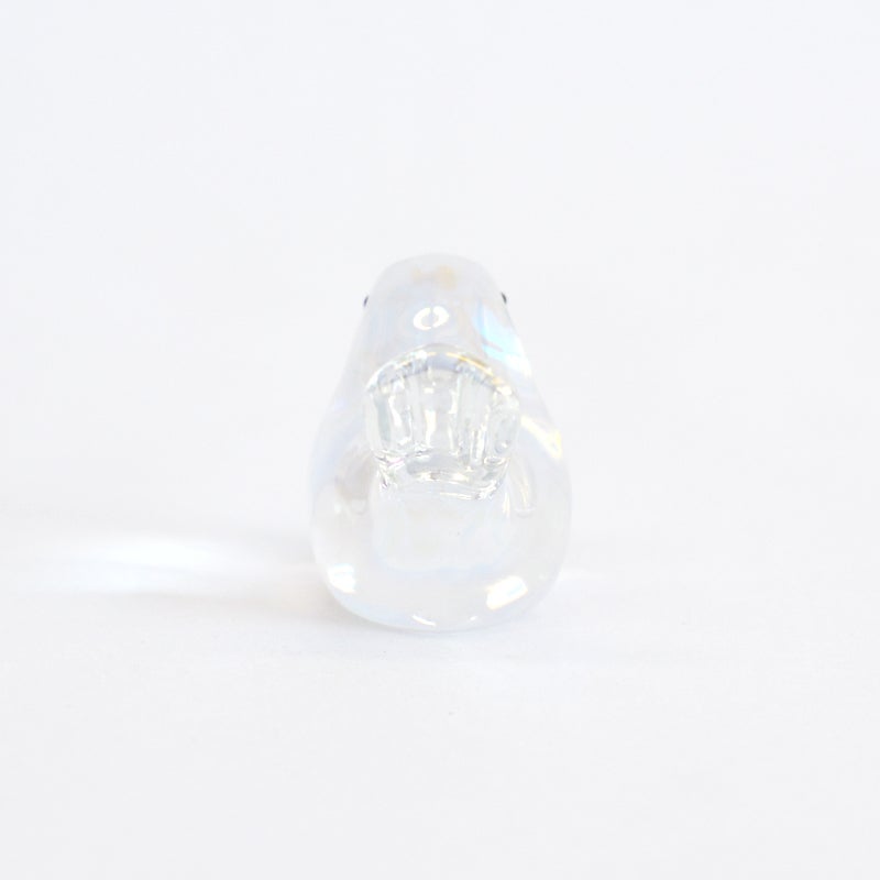 後ろから見た姿です