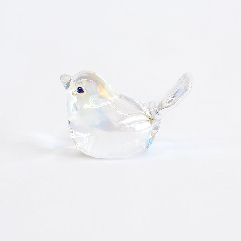 表面に纏った虹色の光沢が美しい