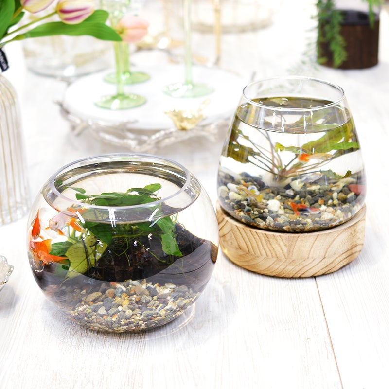 別売りのラウンド ベースと一緒に飾った例です