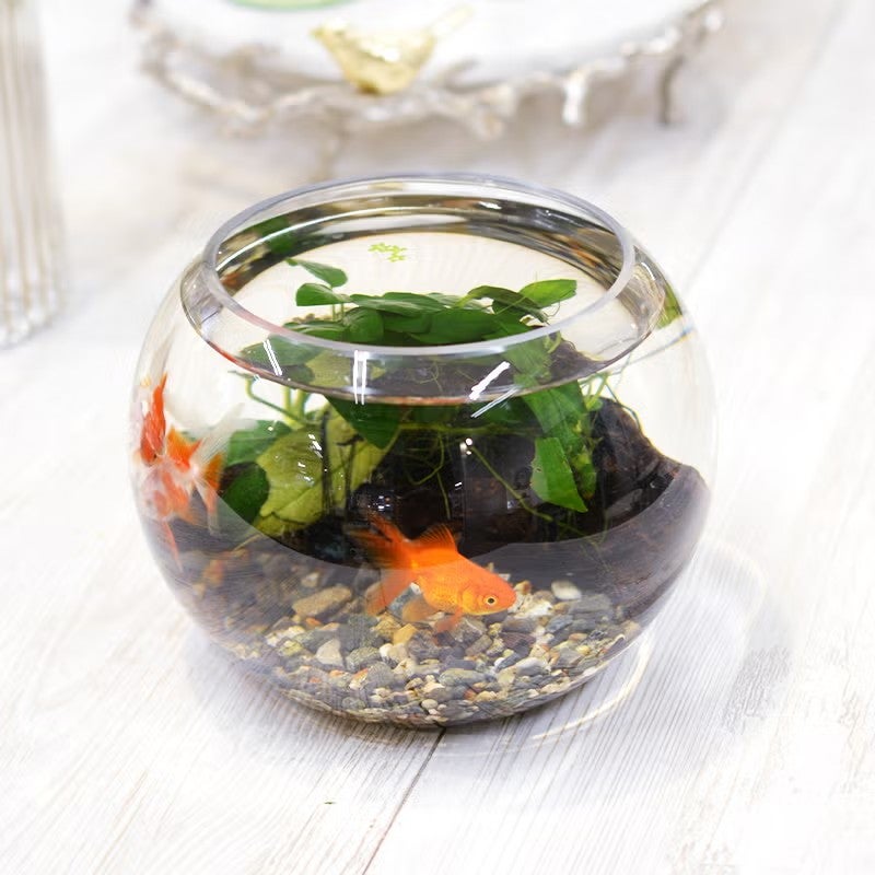 金魚鉢としても使用できます