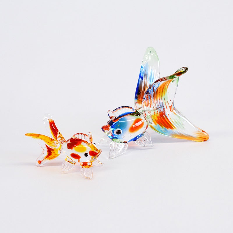 金魚セット MIX&RD