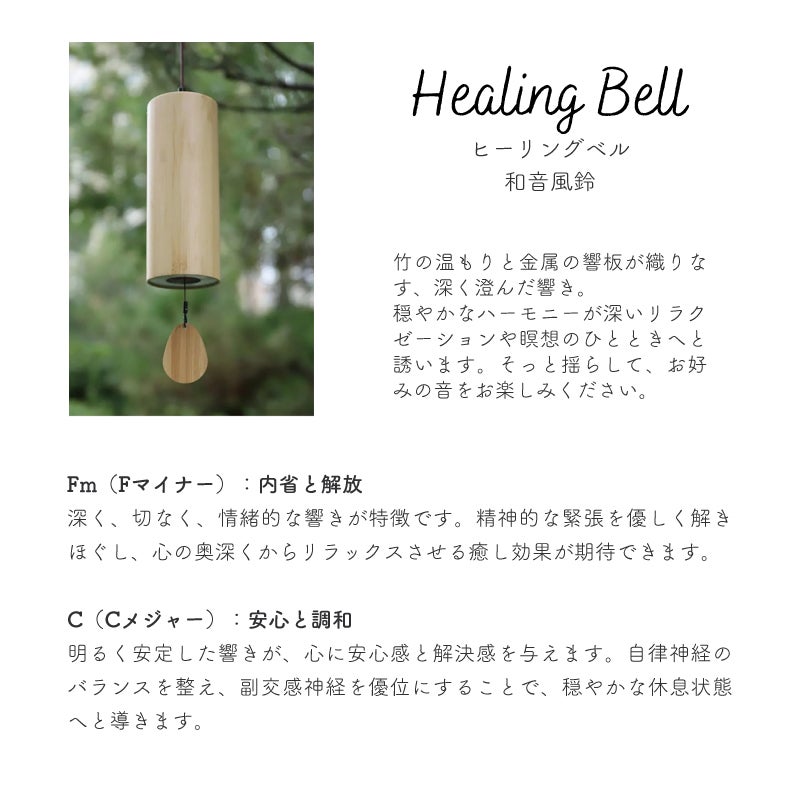 箱の中には説明書がついています